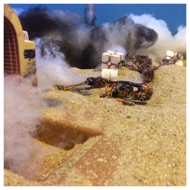 The bodies of his Uncle Owen and Aunt Beru lay burned outside the entrance to the homestead. #starwars #anhwt #starwarstoycrew #jbscrew #blackdeathcrew #starwarstoypix #starwarstoyfigs #toyshelf